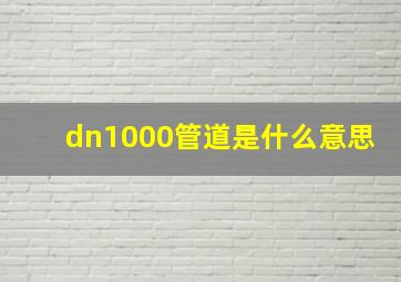 dn1000管道是什么意思(