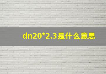 dn20*2.3是什么意思