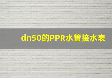 dn50的PPR水管接水表