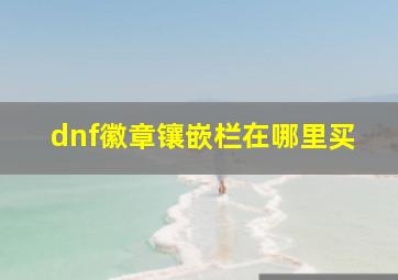 dnf徽章镶嵌栏在哪里买