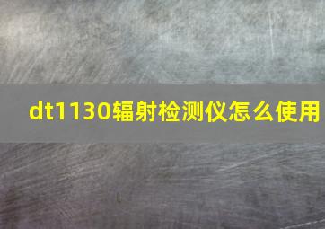 dt1130辐射检测仪怎么使用