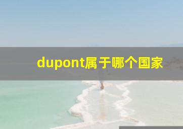 dupont属于哪个国家