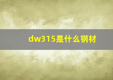 dw315是什么钢材