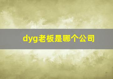 dyg老板是哪个公司