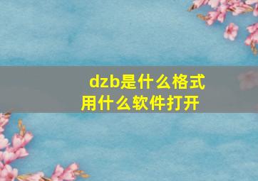 dzb是什么格式 用什么软件打开