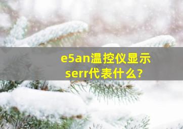 e5an温控仪显示serr代表什么?