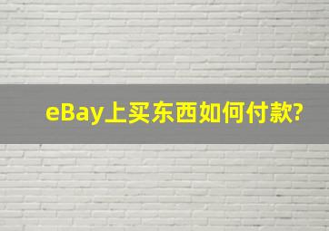 eBay上买东西如何付款?