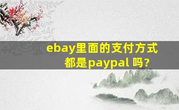 ebay里面的支付方式都是paypal 吗?