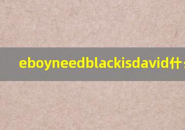 eboyneedblackisdavid什么意思