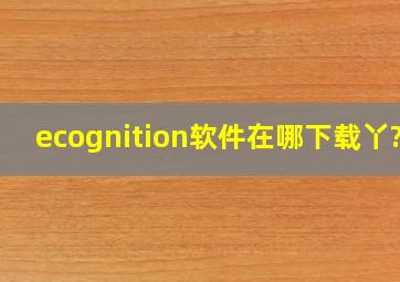 ecognition软件在哪下载丫??