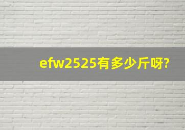 efw2525有多少斤呀?