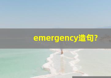 emergency造句?