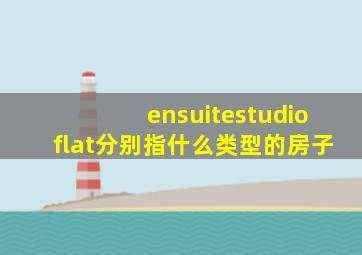 ensuite,studio,flat分别指什么类型的房子