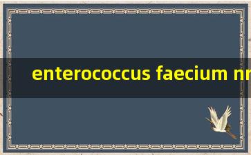 enterococcus faecium nrrl b2354是什么菌株