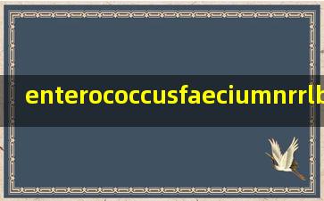 enterococcusfaeciumnrrlb2354是什么菌株