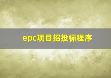epc项目招投标程序