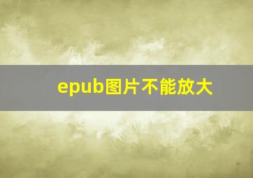 epub图片不能放大