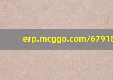 erp.mcggo.com/67918.html