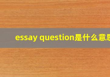 essay question是什么意思