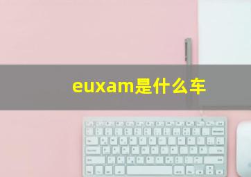 euxam是什么车