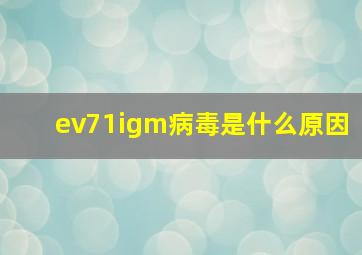 ev71igm病毒是什么原因