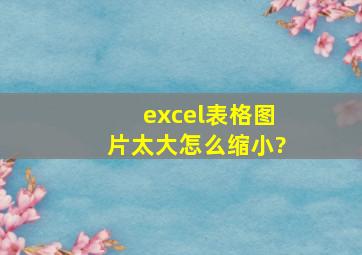 excel表格图片太大怎么缩小?