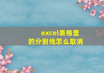 excel表格里的分割线怎么取消