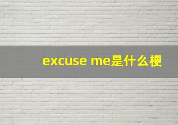 excuse me是什么梗