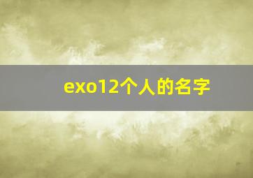 exo12个人的名字