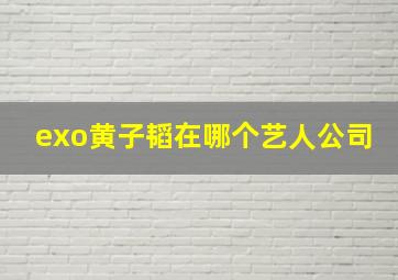 exo黄子韬在哪个艺人公司