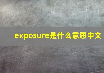 exposure是什么意思中文
