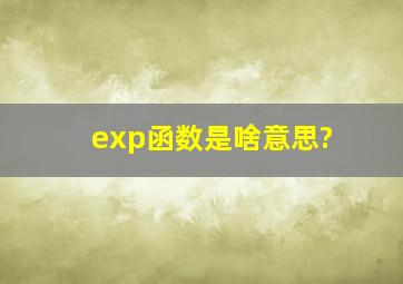 exp函数是啥意思?