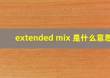 extended mix 是什么意思?