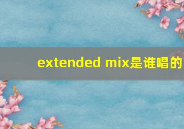 extended mix是谁唱的