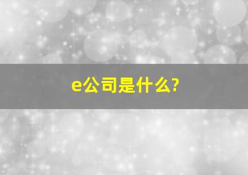 e公司是什么?