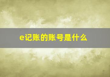 e记账的账号是什么 