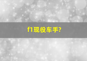 f1现役车手?