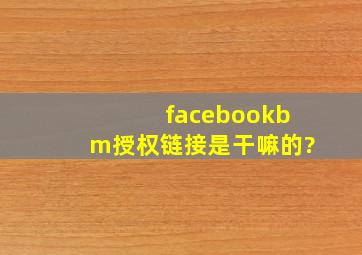 facebookbm授权链接是干嘛的?