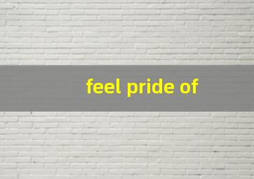 feel pride of