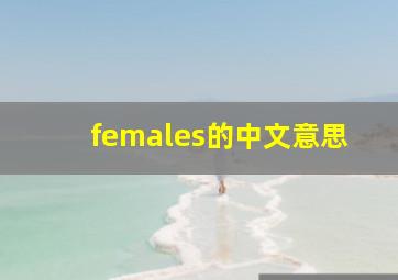 females的中文意思