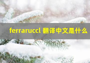 ferraruccl 翻译中文是什么