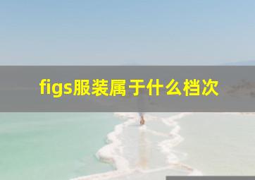 figs服装属于什么档次