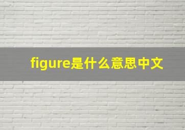 figure是什么意思中文(