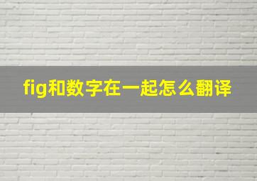 fig和数字在一起怎么翻译