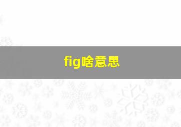 fig啥意思