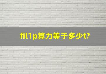 fil1p算力等于多少t?