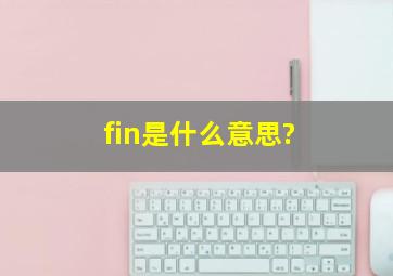 fin是什么意思?