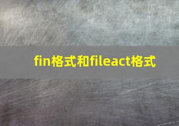 fin格式和fileact格式