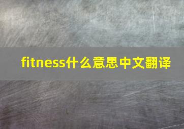 fitness什么意思中文翻译