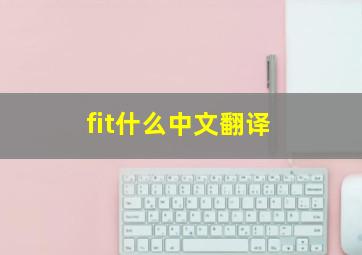 fit什么中文翻译